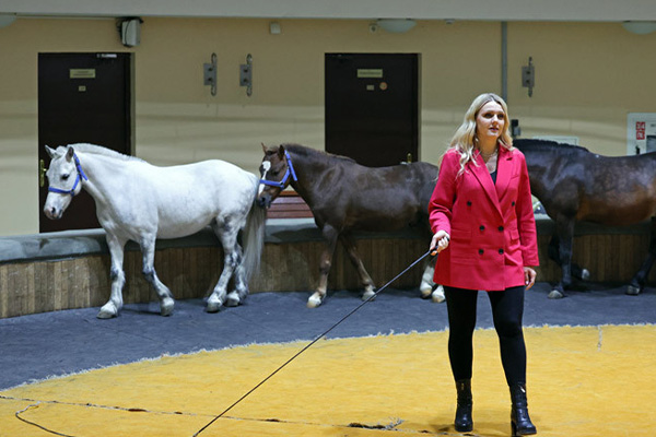 Мечта за кулисами цирка!